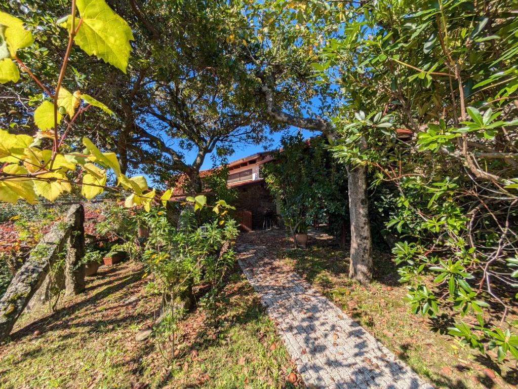 a path leading up to a house with trees at Casa do Valo in Amonde