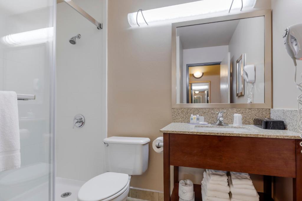 Comfort Inn & Suites Boulder - Camera Standard Queen Con Due Letti Queen - Non Fumatori