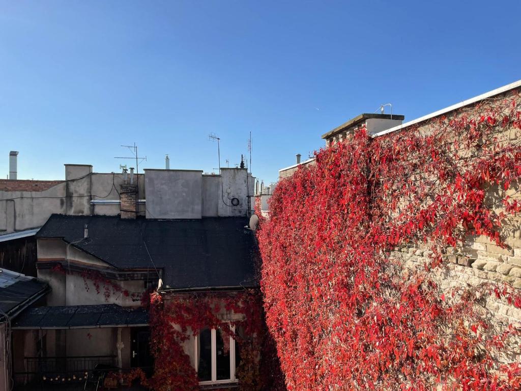 S45 APT by PROMODERO - 10