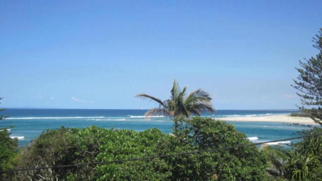 a view of a beach with a palm tree and the ocean at Esplanade View Unit 3 Wollombi in Caloundra