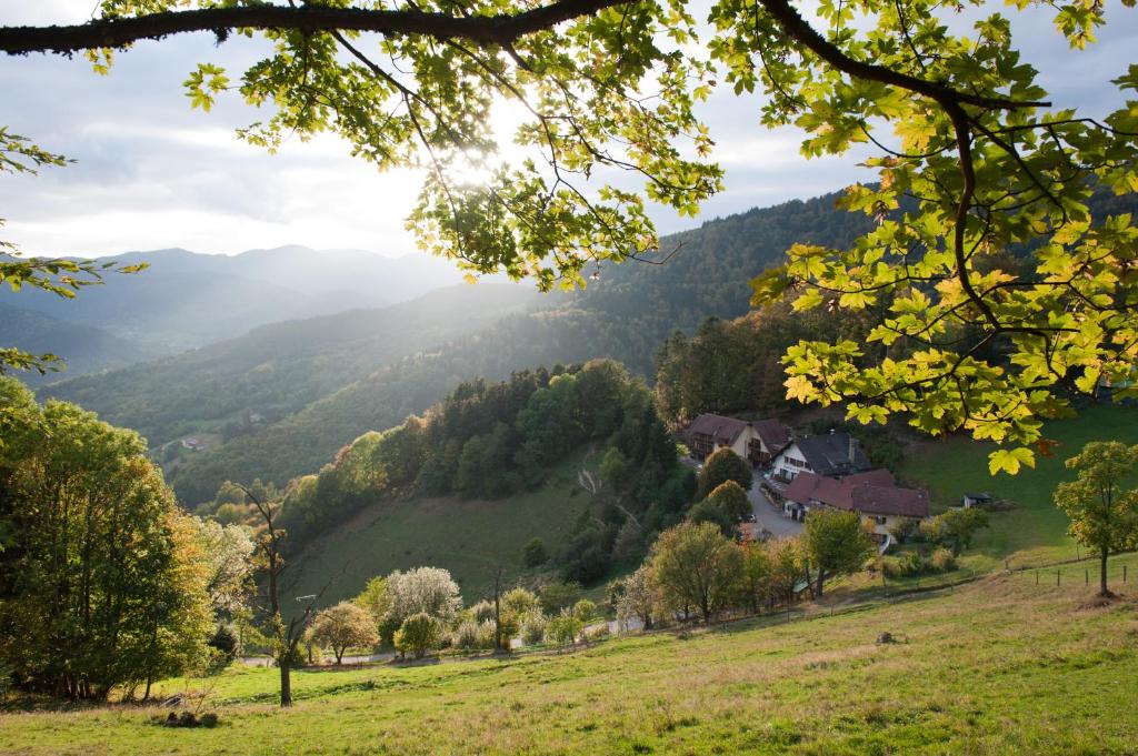 vista su una valle con alberi e case di Auberge Du Mehrbachel a Saint-Amarin