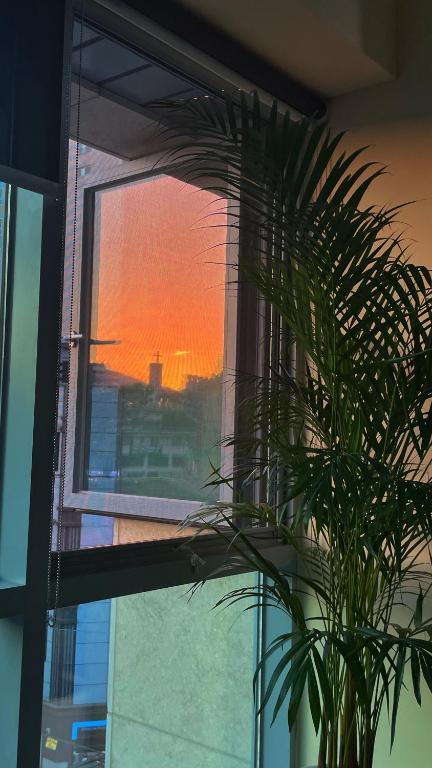 Východ nebo západ slunce při pohledu z hotelu nebo okolí