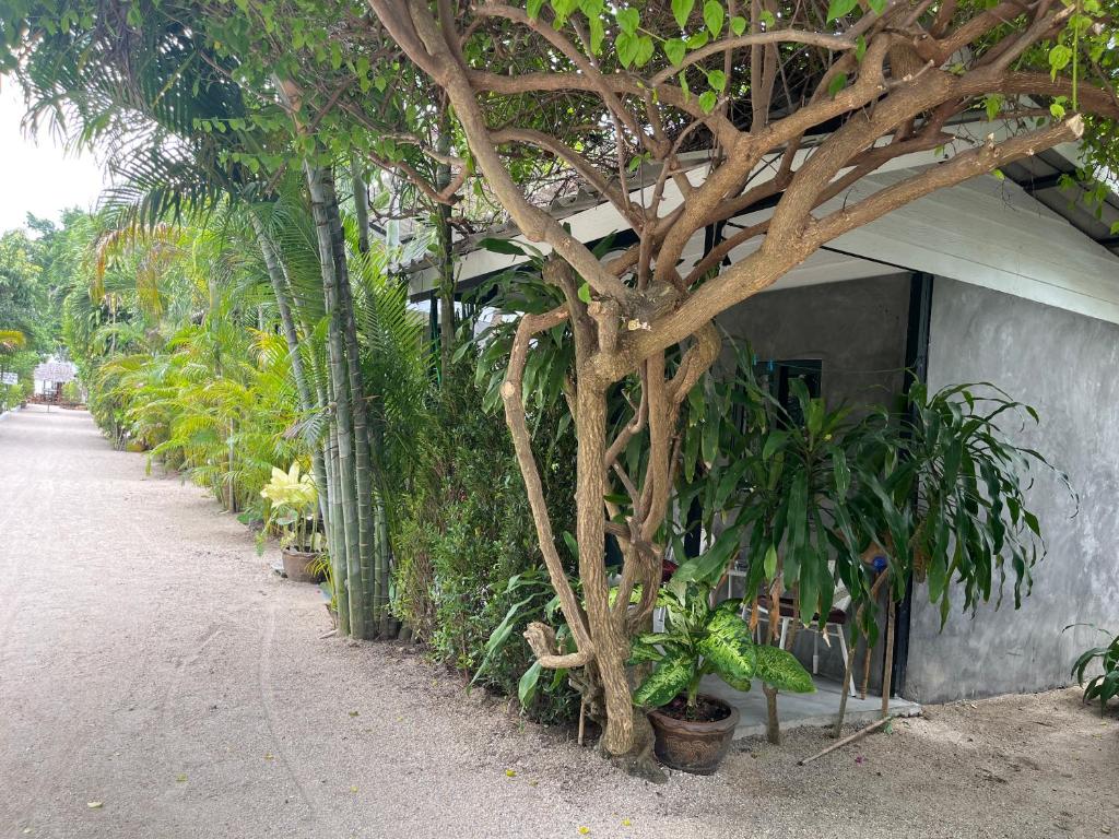 Namthip Homebeach - 4