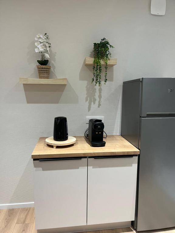 Colmar Centre - Le Schickele - garage privé - climatisé – photo 32