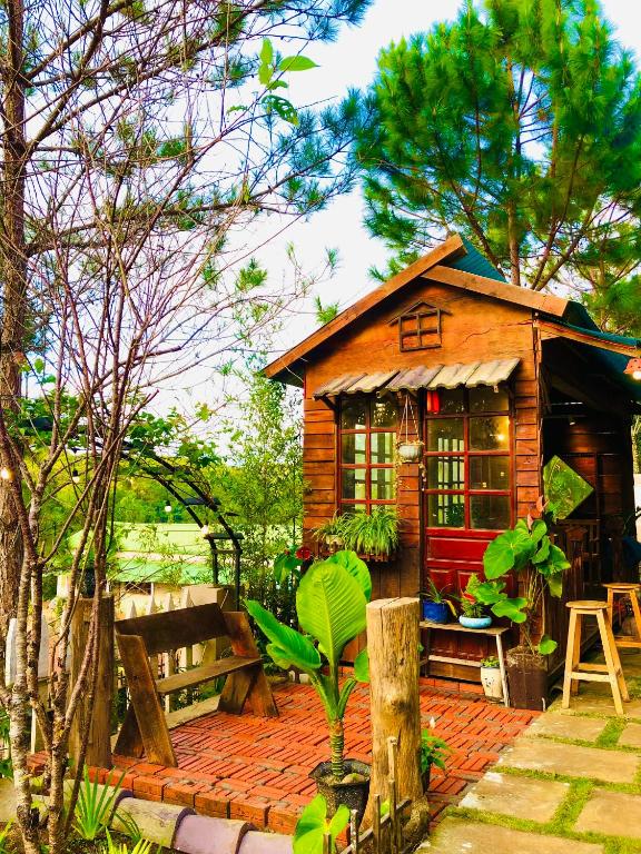 Vườn quanh Angels Homestay & Coffee