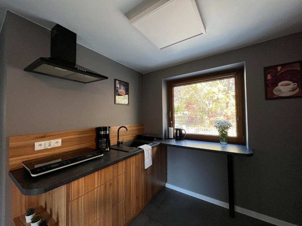 Kuchyň nebo kuchyňský kout v ubytování Apartamenty River