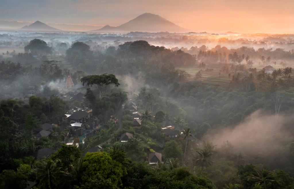 TOP 10 Mejores Hoteles de Lujo en Ubud, Bali 608195789