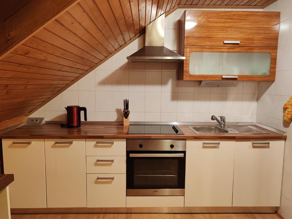 Kuchyň nebo kuchyňský kout v ubytování Apartment Katja