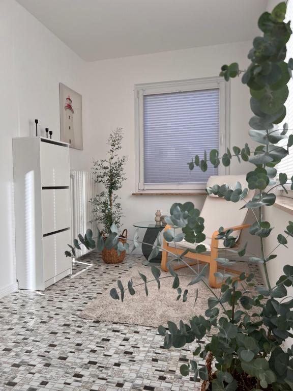 Η κουζίνα ή μικρή κουζίνα στο Casa Cara