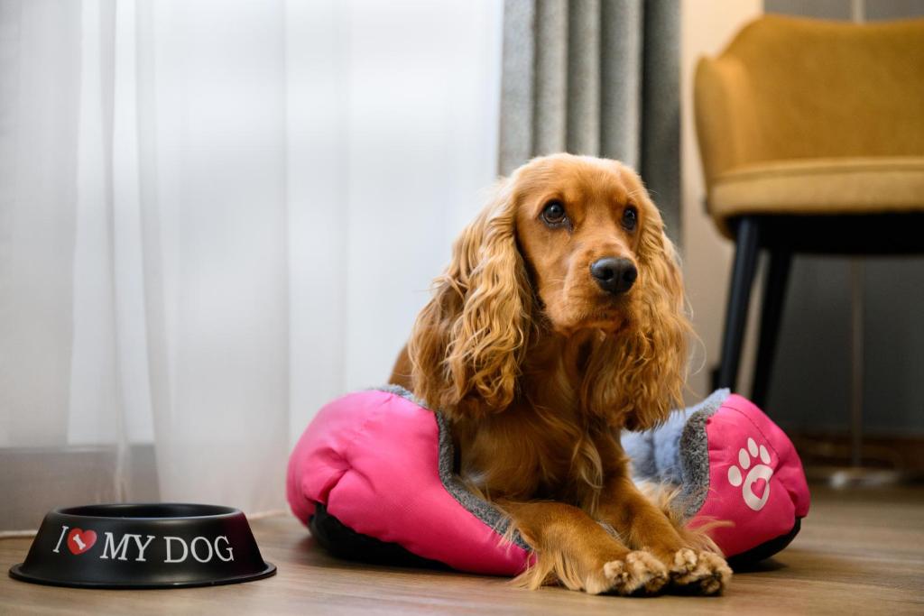 Hotel Bristol Budapest - Resim 28