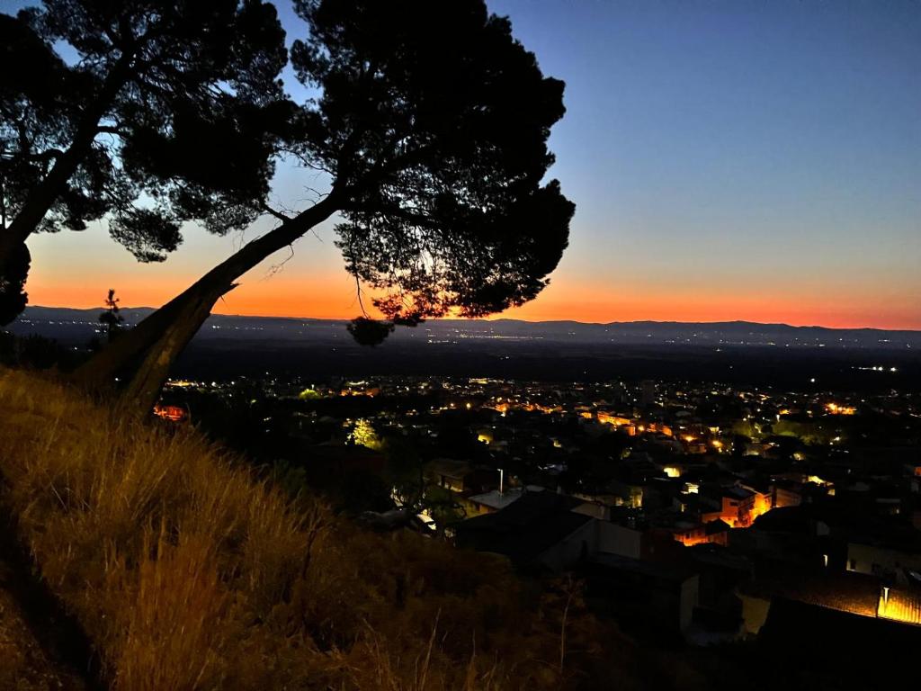 un tramonto dalla cima di una collina con un albero di B&B La Panoramica a Villacidro