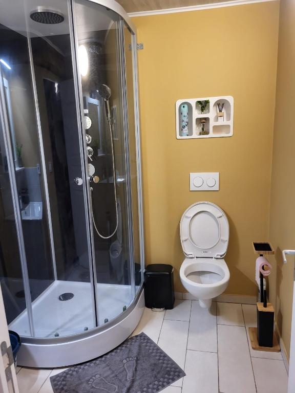 Koupelna v ubytování Gîte Studio Alex 3 Masson de Morfontaine rez de chaussé