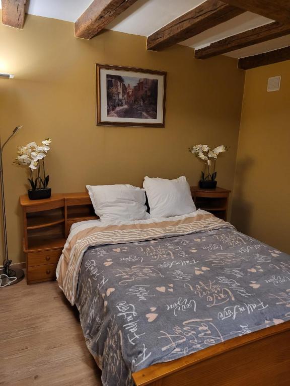 Postel nebo postele na pokoji v ubytování Gîte Studio Alex 3 Masson de Morfontaine rez de chaussé