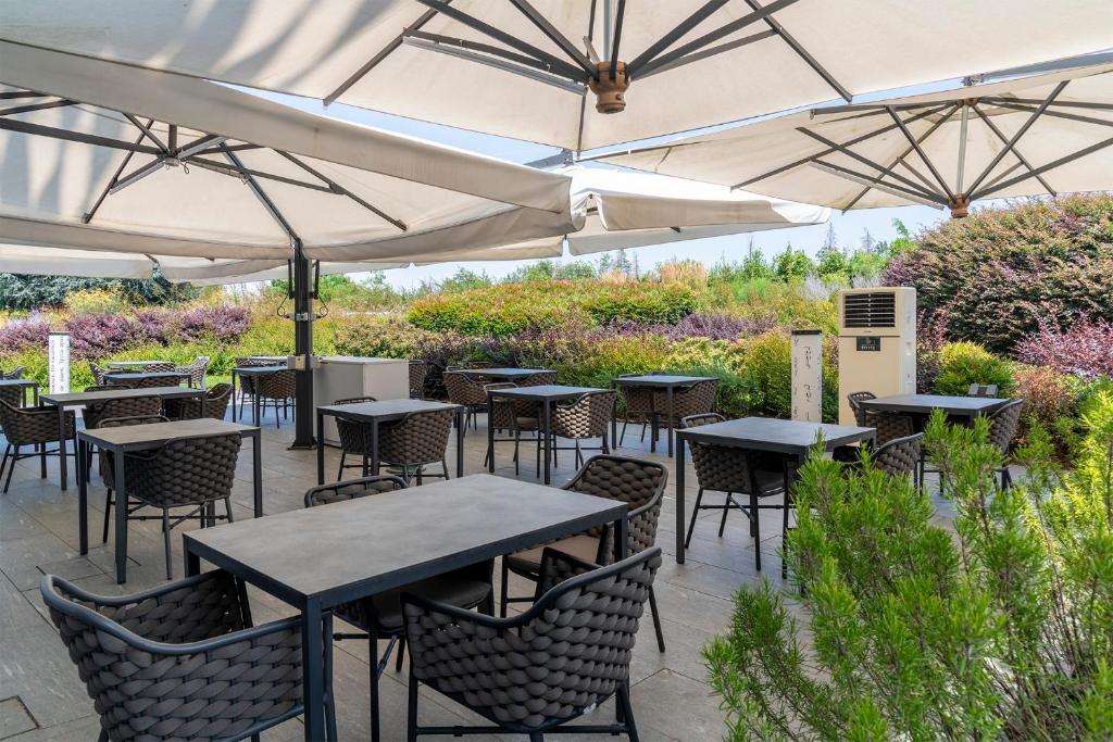 Vonkajšia záhrada v ubytovaní MO.OM Hotel