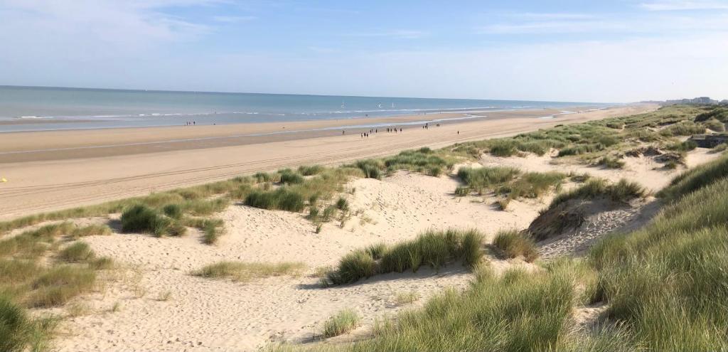 vista su una spiaggia con persone che camminano su di essa di Villaloha Deluxe Bray-dunes Beach a Bray-Dunes