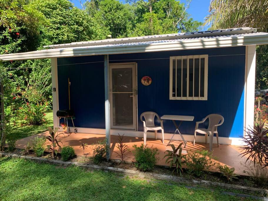 En have udenfor Ojochal maison moderne piscine creusée