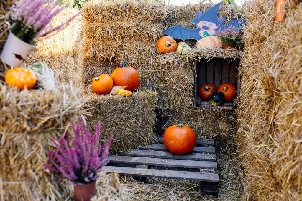 JJ Sport Concept Hotel - Resim 15