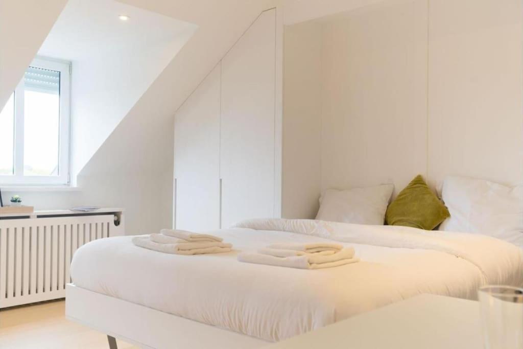 Studio Fischer à la Pétrusse 303 - Resim 12