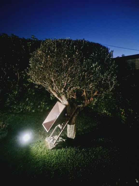 Fotografie z fotogalerie ubytování CASE DI BACCO v destinaci Agropoli