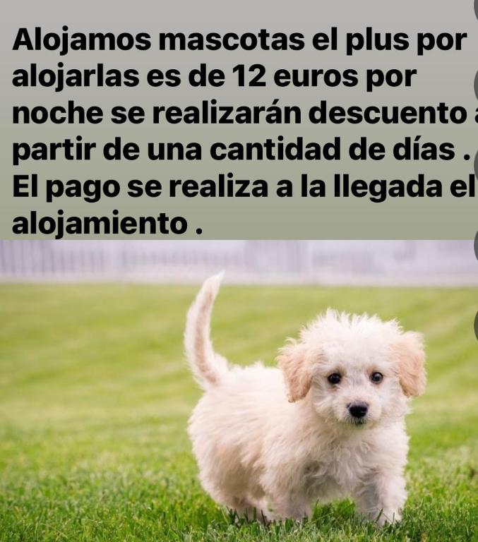Domáce zviera alebo zvieratá hostí v ubytovaní Apartamento Rondabella 1 Centro PARKING GRATIS Wifi AA