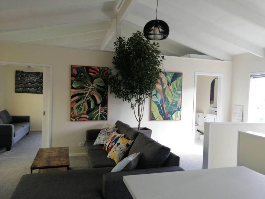 Takapuna Centre 3B plus Netflix - Resim 4