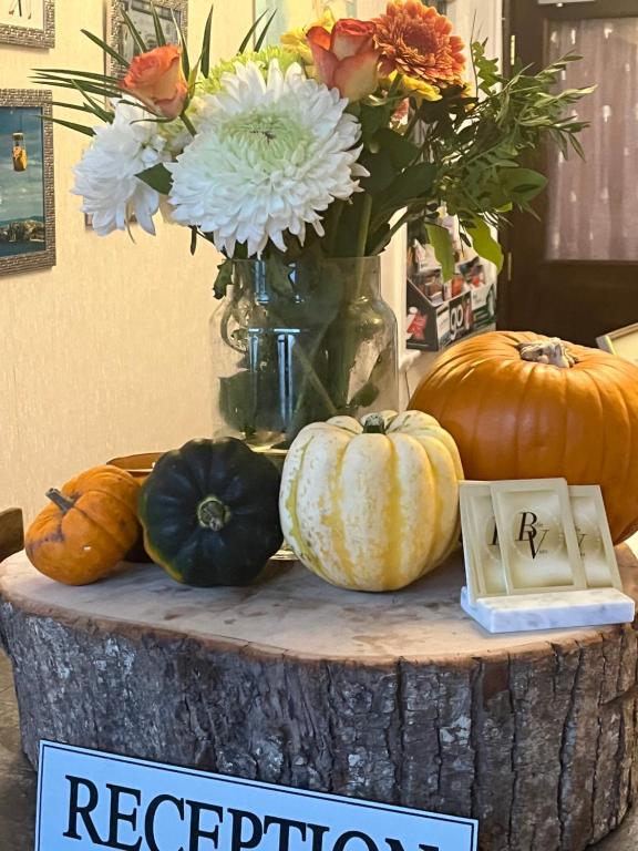 Bella Vista - Resim 9