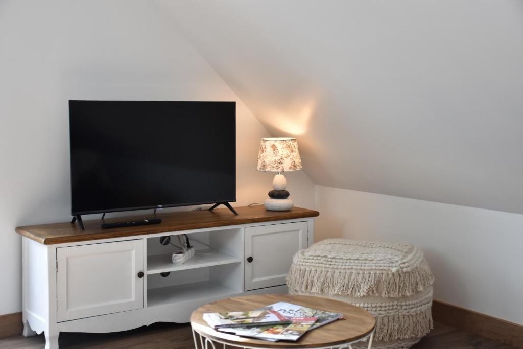 TV a/nebo společenská místnost v ubytování Gîte des Comtes du Perche 2 logements indépendants de 40 et 25 m2