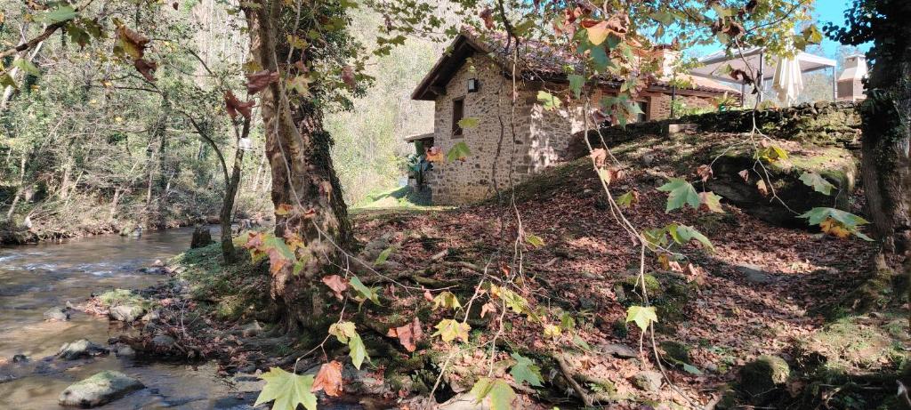 Príroda v okolí apartmánu