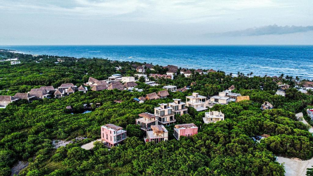 Příroda nedaleko hotelu