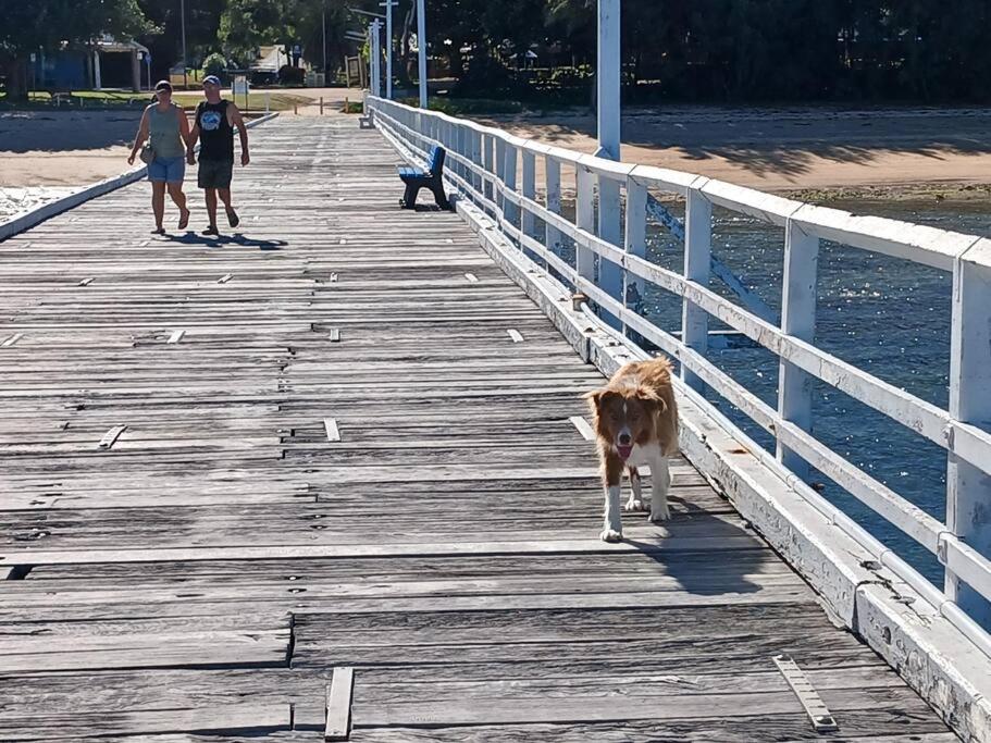 Domácí mazlíčci ubytovaní s hosty v ubytování Rosalita, Picnic Bay