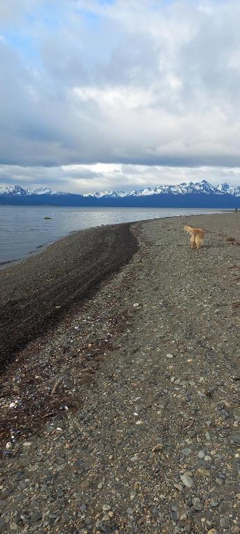 Bosque Del Sur Cabañas