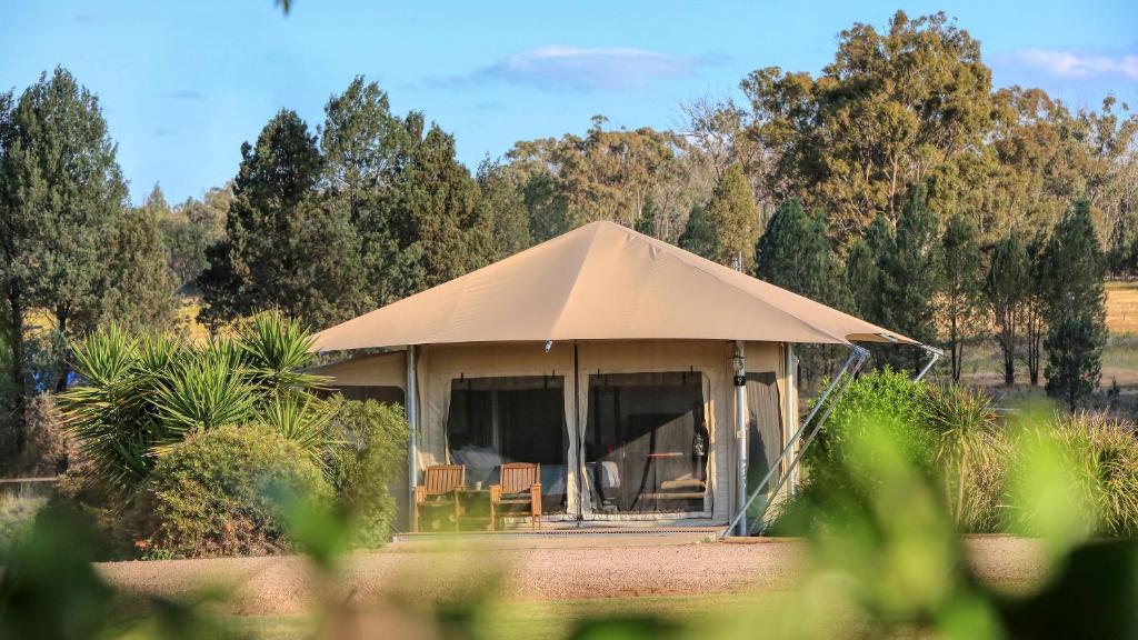 Zahrada ubytování Dubbo Rhino Lodge