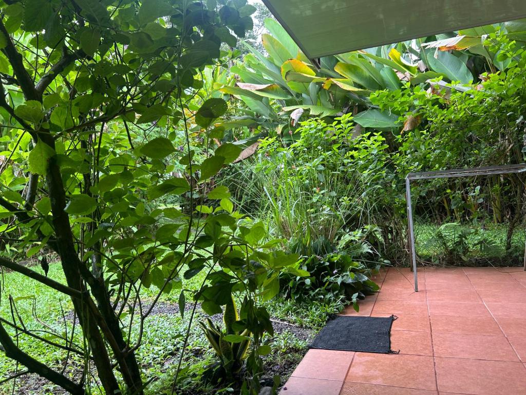 Zahrada ubytování Granja Agua Azul, Wi-FI,AC-WC,Parking,la Fortuna