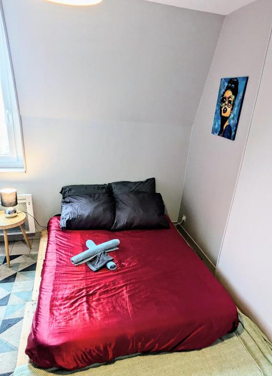 Photo de la galerie de l'établissement Jolie chambre tout confort et calme ! à pied , 5min de la gare ! de la cathédrale ! et des bords de Loire ! localisation top ! MAIS merci de BIEN lire ma présentation personnelle, car le site impose la sienne, lire jusqu'à section profil, à Nevers
