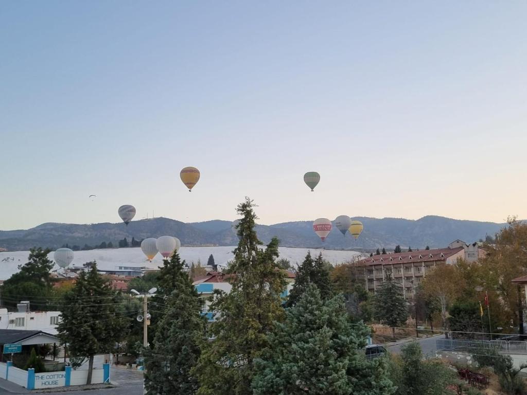 Příroda nedaleko apartmánu