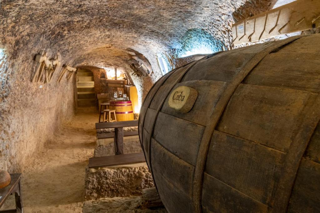 圣埃斯特万德戈尔马斯Hotel Rural La Bodega del Baldomero的一座建筑的酒窖里的一个大酒桶