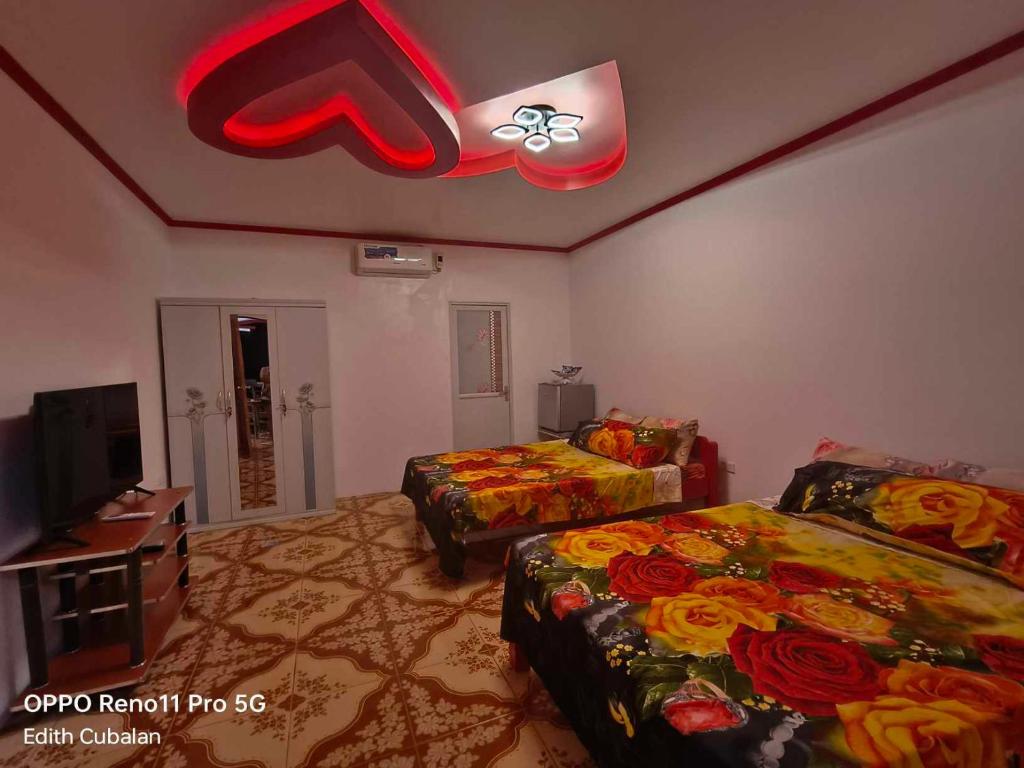 TV a/nebo společenská místnost v ubytování ECB Guest House