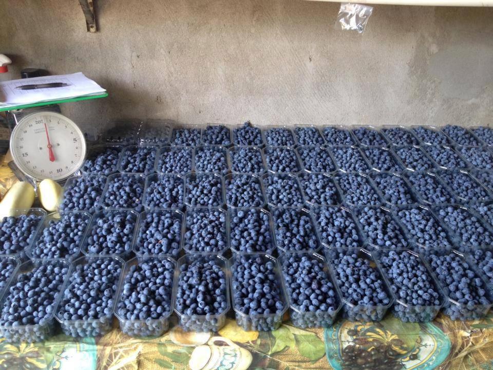 Fotografie z fotogalerie ubytování Agriturismo Vignarello v destinaci Tornaco