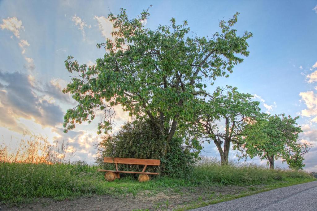 Příroda nedaleko apartmánu