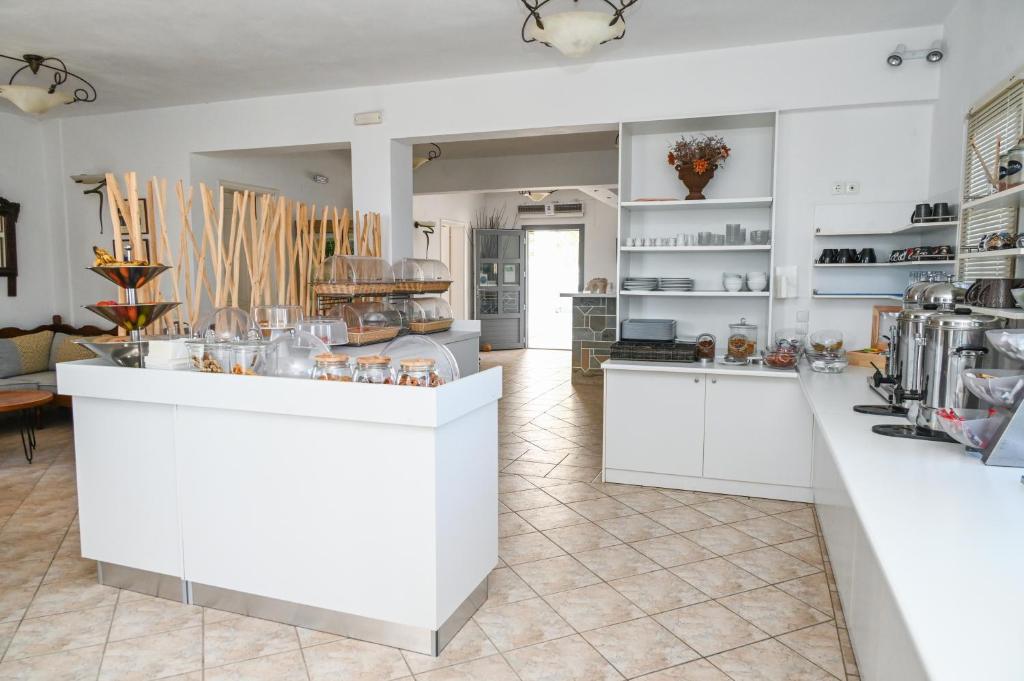 Kuchyň nebo kuchyňský kout v ubytování Glaronisia Hotel