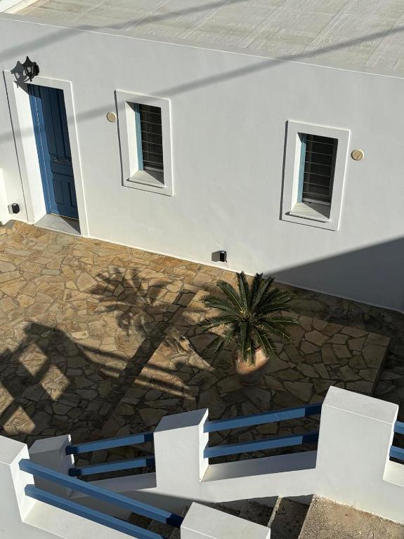 a white building with white chairs and a plant at Andros Guesthouses in Andros