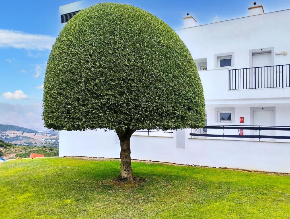 Gallery image of Doña Julia sea view in Casares