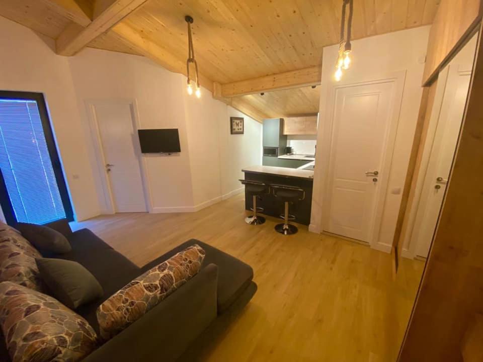Kuchyň nebo kuchyňský kout v ubytování winter house GUDAURI