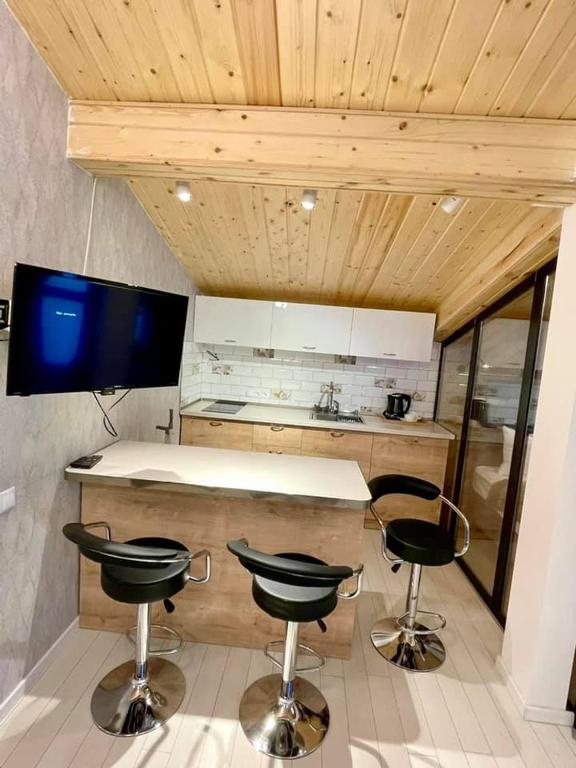 Kuchyň nebo kuchyňský kout v ubytování winter house GUDAURI