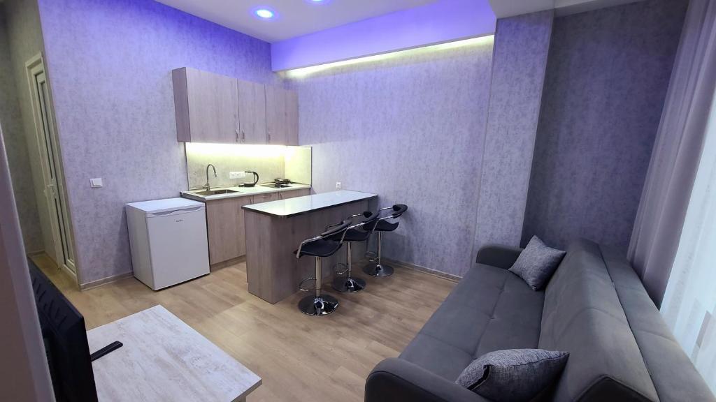 Kuchyň nebo kuchyňský kout v ubytování winter house GUDAURI
