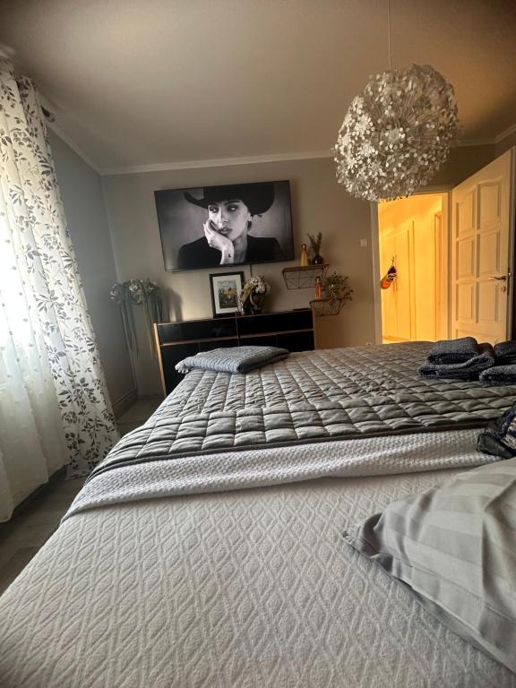 Apartman Pannonica Pin 0-24h - Housity