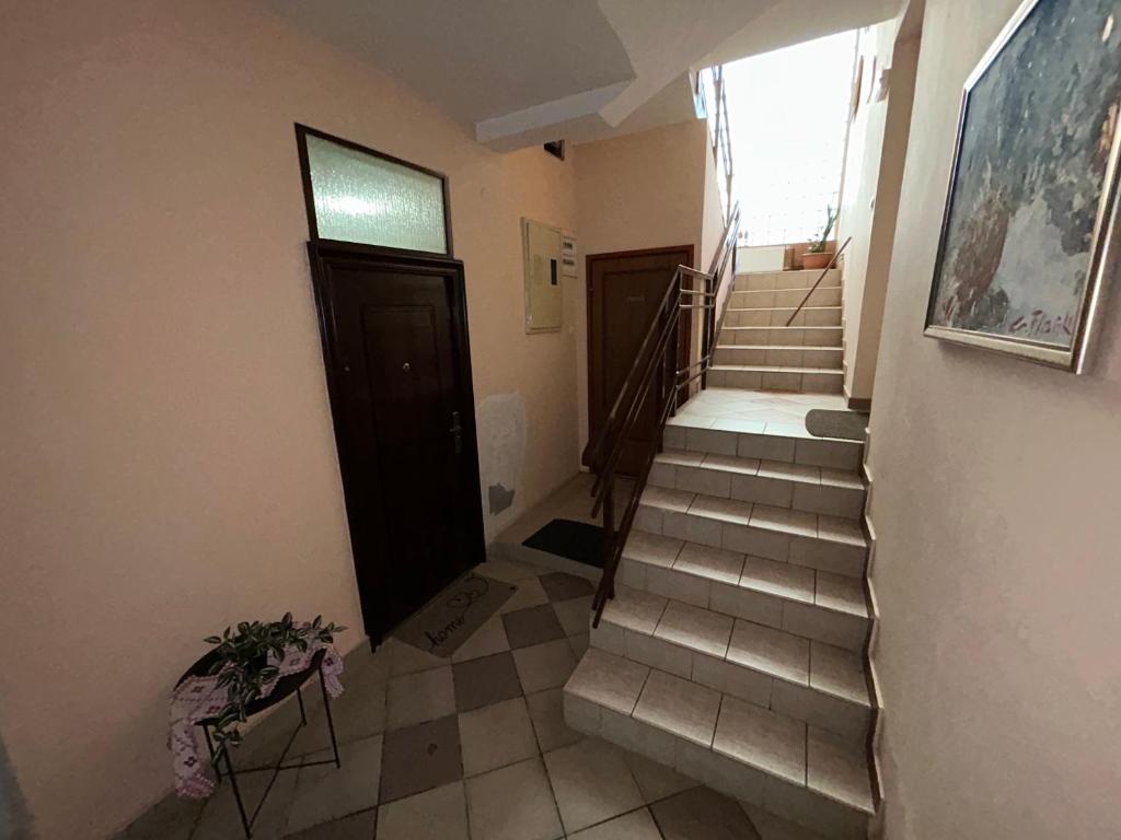 Apartments & Rooms 4 rijeke - 15