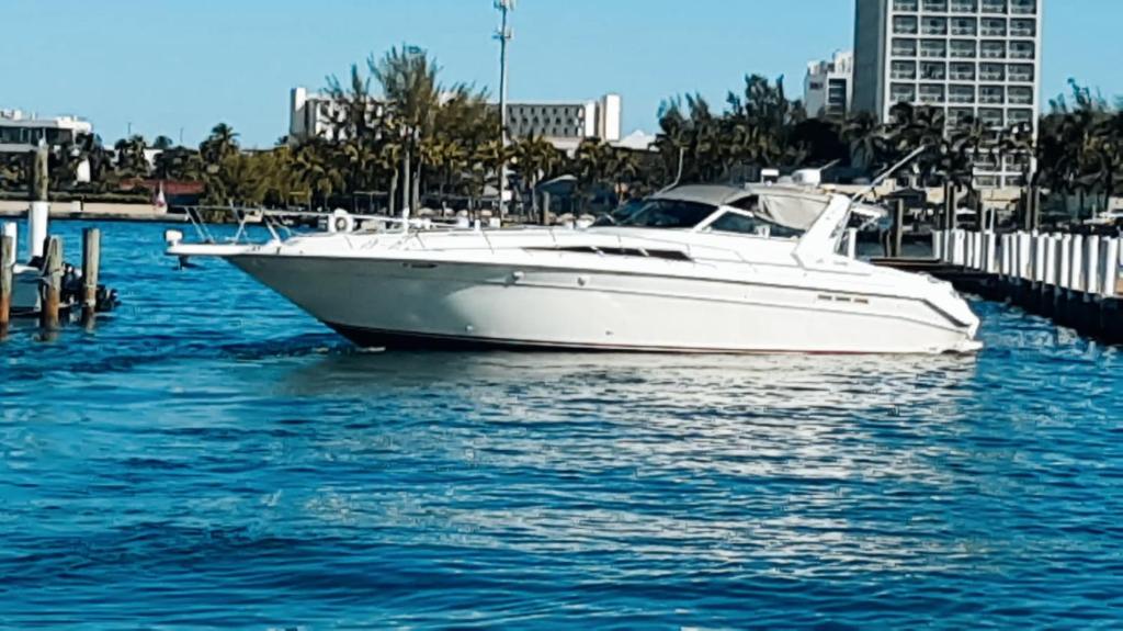 Fotografie z fotogalerie ubytování Water Lovers Paradise! v destinaci Ocho Rios