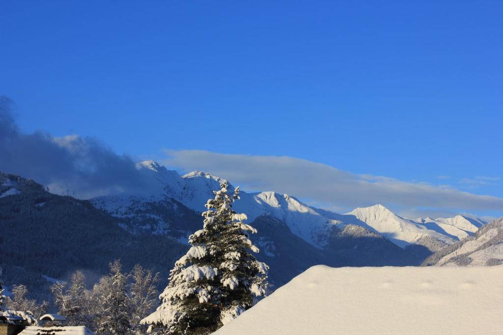 een met sneeuw bedekte kerstboom op de top van een berg bij Ferienwohnung Lasshofer in Sankt Michael im Lungau