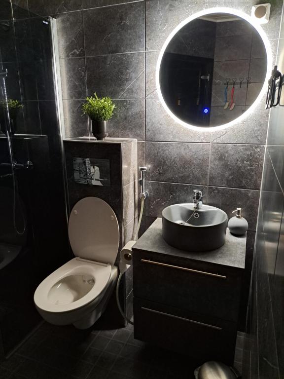 a bathroom with a toilet and a sink and a mirror at Saunallinen yksiö in Pieksamaki
